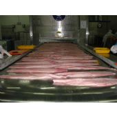 Pescados Congelados calidad Premium